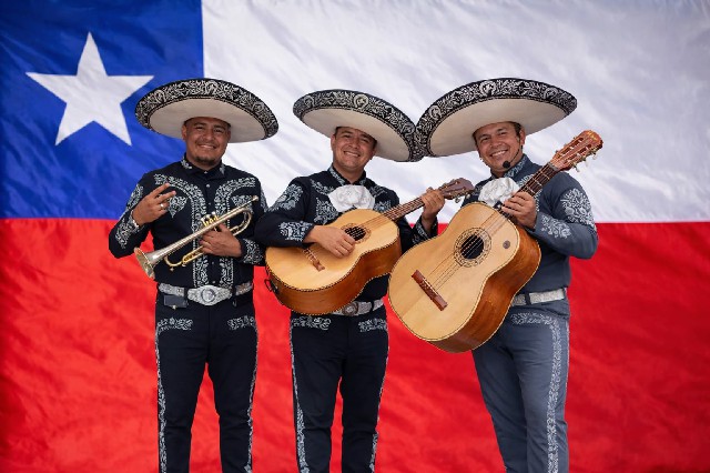 Guitarrón mariachi detalle
